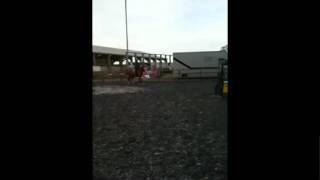 Ski jumping.avi