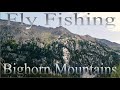 Fly fishing The Bighorn Mountains