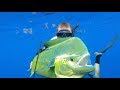 Spearfishing for Bull Dolphin {Catch Clean Cook} Gourmet Dorado Fingers