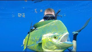 Spearfishing for Bull Dolphin {Catch Clean Cook} Gourmet Dorado Fingers