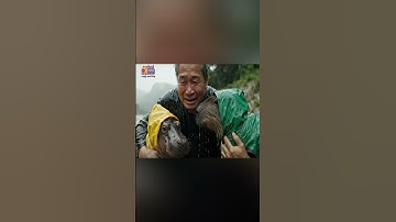 Capy ông lão với bão Wipha 😟😟 #capybara #hama #shots