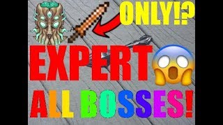 63 Every Expert Terraria Boss Using Copper Shortsword No Clickbait 10000 Vbuck Giveaway