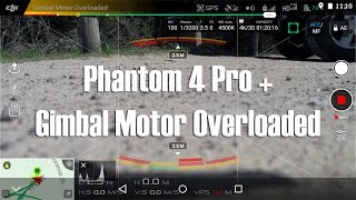 Phantom 4 Pro   Gimbal Motor Overloaded Issue