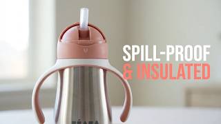 Beaba Sippy Cup Review: Durable, Leak-Proof & Toddler Approved