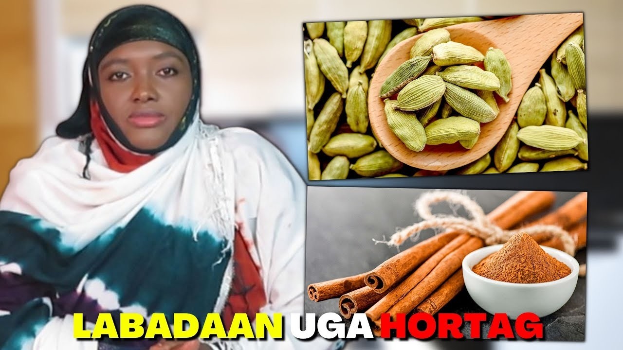 HEELKA IYO QORFAHA WAA DAAWO DHAMEESTIRAN!