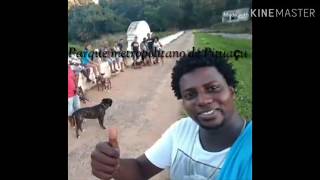 Encontro De Pit Bull. Salvador Parque Pituaçu