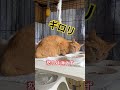 保護8日目 ほんと、ごめん…