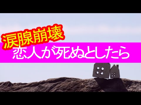 【感動する話】実話！感動シーン16【泣ける恋愛編】