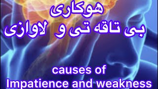 هوكارى لاوازى و بى تاقه تى و بى زارى له روژه كه تد   Common causes of tiredness and fatigue