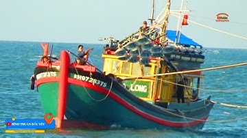 🔴 Ghe Pha Súc Cà Ná Về Cảng Lagi Mùa Gió Thổi || Bình Thuận Dấu Yêu