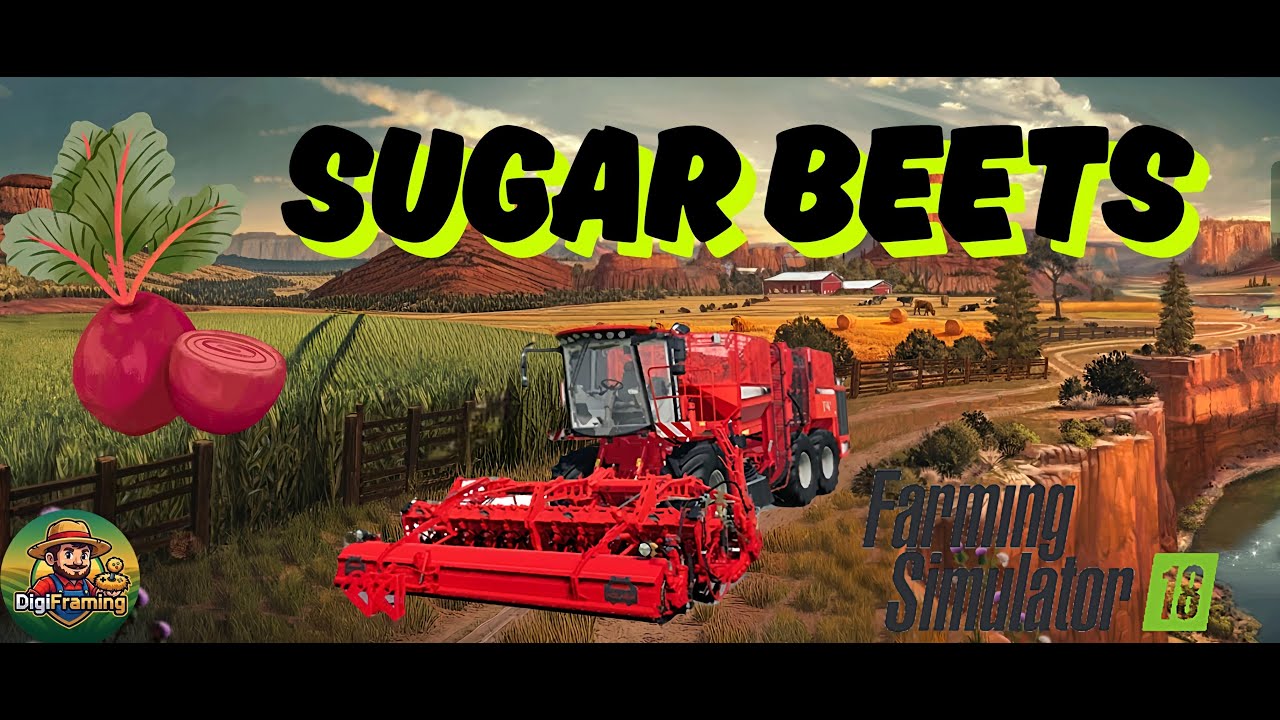 Sugar Beet Farming FS18  | Full Process From Growing to Harvesting | Farming Simulator 18 Guide