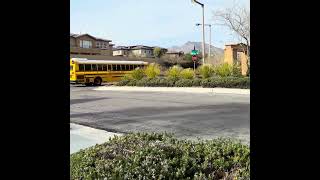 208002 Takin’ Off! #ccsd #schoolbus #cummins