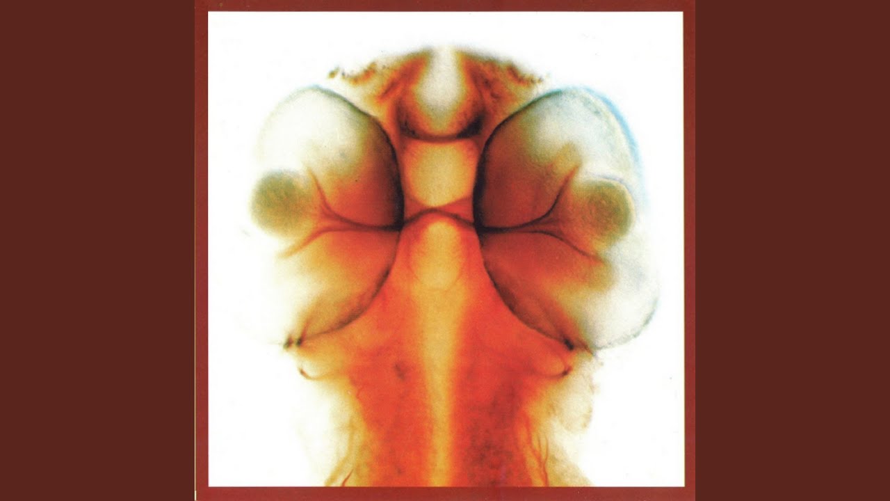 Sky Becomes A Loop auf YouTube ansehen Sky Becomes A Loop auf YouTube ansehen