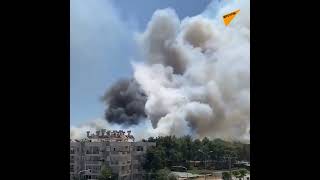 トルコ南西部で大規模な森林火災が発生　火の手は住宅へ