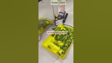 Máy vắt chanh tắc quất tự cuốn V400 ép cực nhanh mà không bị nát hạt năng suất 80kg/h