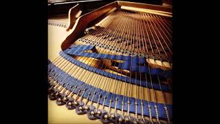 BLUTHNER Model 7 Grand Piano