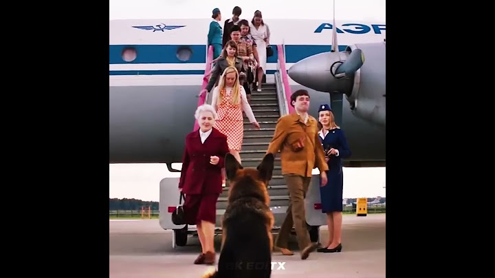 Some People Don't Deserve Loyalty 😞😢 || Dog's Loyalty