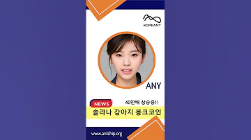 솔라나 강아지 봉크코인 어디까지 질주할까 봉크코인 봉크 BONK BONK코인