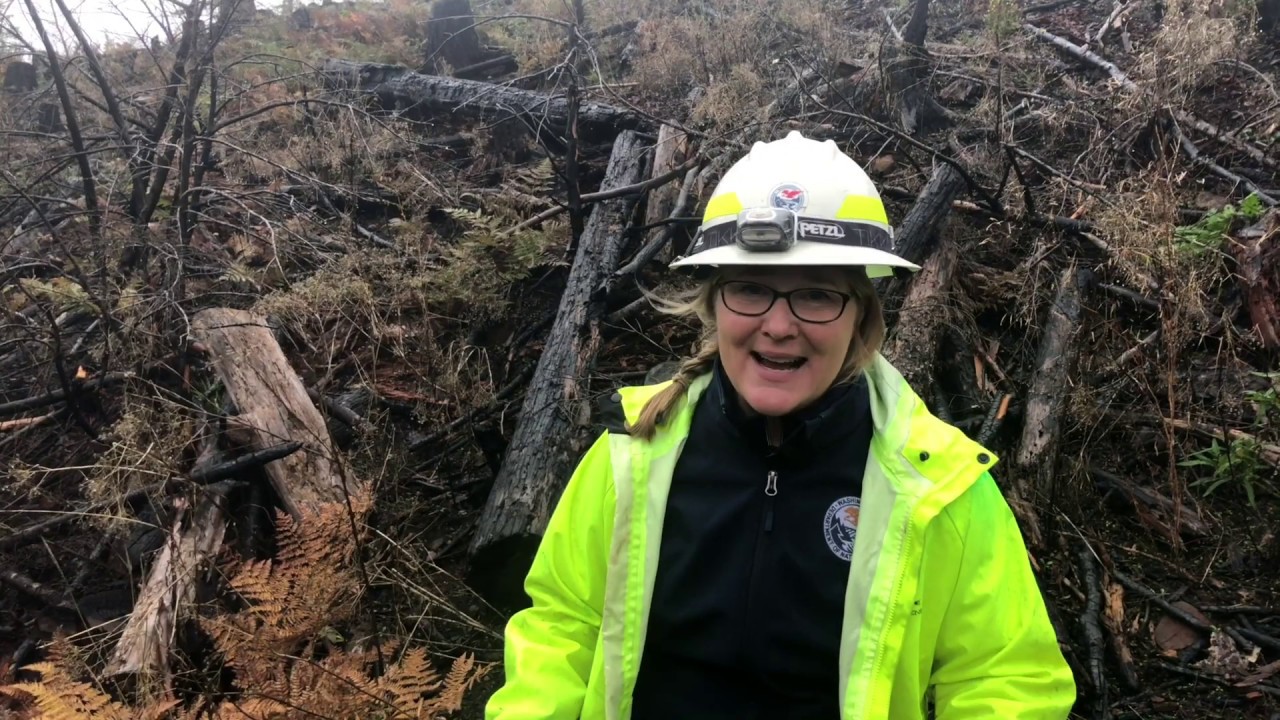 bonfire livre Don't let your burn pile escape