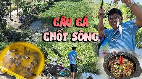 Câu Cá Thiên Nhiên | "Câu cá Chốt Bắc Kinh" kho tiêu ăn cơm trưa tại Vĩnh Long
