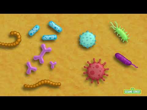 What Are Germs?