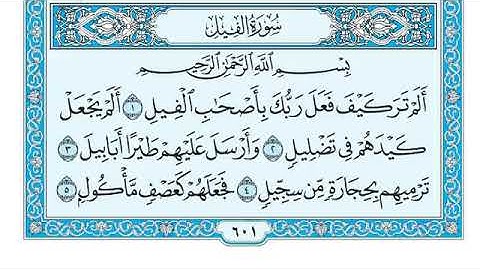 سورة الفيل / ماهر المعيقلي Maher Al-Muaiqly.