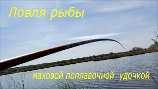 Рыбалка. Ловля рыбы маховой поплавочной удочкой.(Дорогие друзья, наверное не найдется человека, который в своей жизни ни разу не ловил рыбу обычной маховой..., 2016-04-29T18:17:08.000Z)