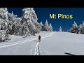 Mt pinos winter wonderland