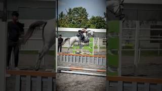 crazy how fast time flies… I started riding oct 2020… #timeflies #throwback #equestrian #fyp