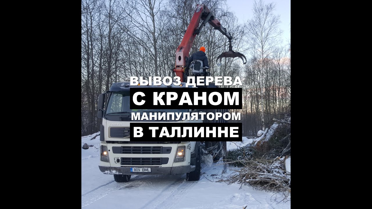 Утилизация спиленных деревьев. - YouTube