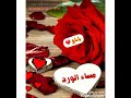 تصميم جديد 2021 نغمه رنين لؤي لبغدادي حالات واتس اب انستا 2021 