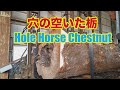 穴の空いた栃の木の製材です。Hole Horse Chestnut!!