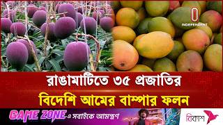 ৩০ একর পাহাড়ি জমিতে রঙিন আমের রাজ্য | Rangamati | Colorful Mango Garden | Independent TV