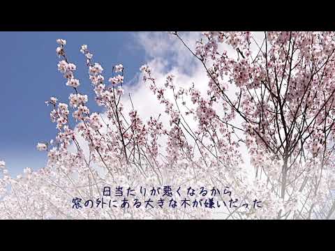 さくら/amazarashi【歌ってみました】