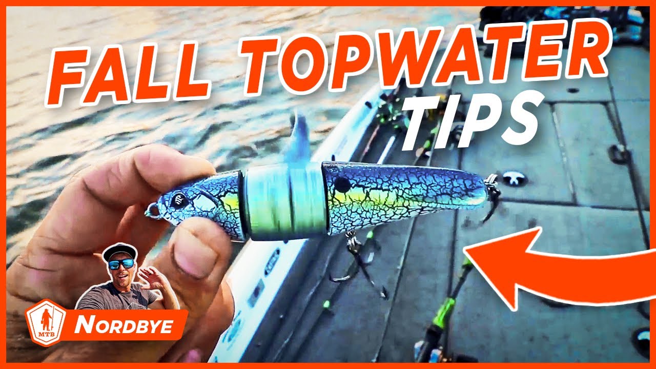 Fall Topwater Bass Fishing Tips Tournament Angler Breakdown YouTube