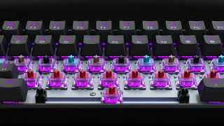 Tezarre TK61 Pro Mechanical Keyboard
