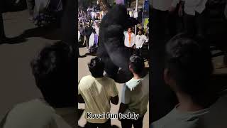 Fun Teddy Gorilla 995223339280563445849787334547