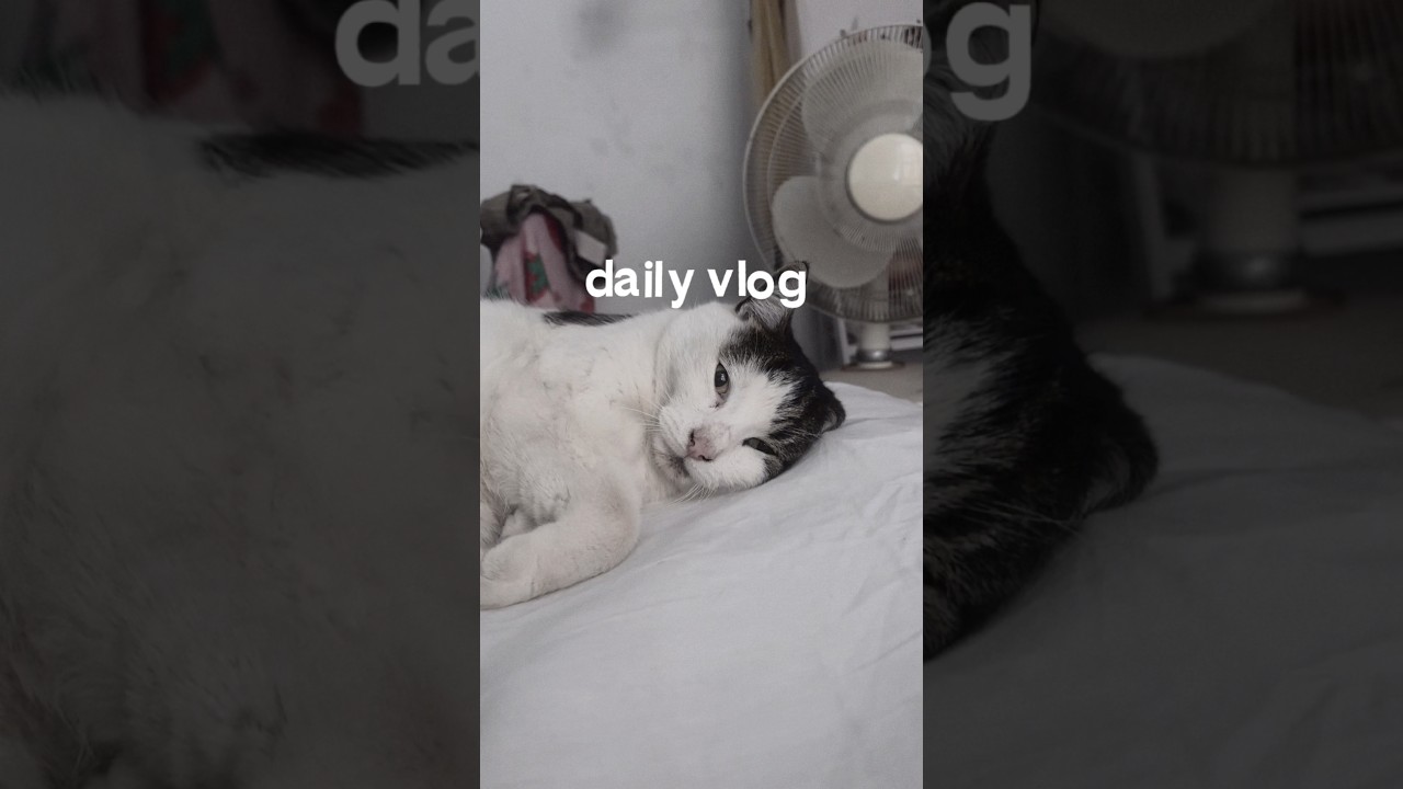 realistic daily vlog #vlog #dailyvlog #dayinmylife #realisticvlog