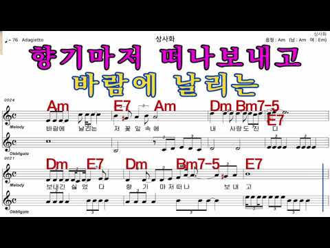상사화  남 진     가수처럼 엠알로  악보  노래 하기   남  원키  Am
