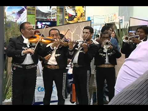 camera iphone 8 plus apk Vitromex