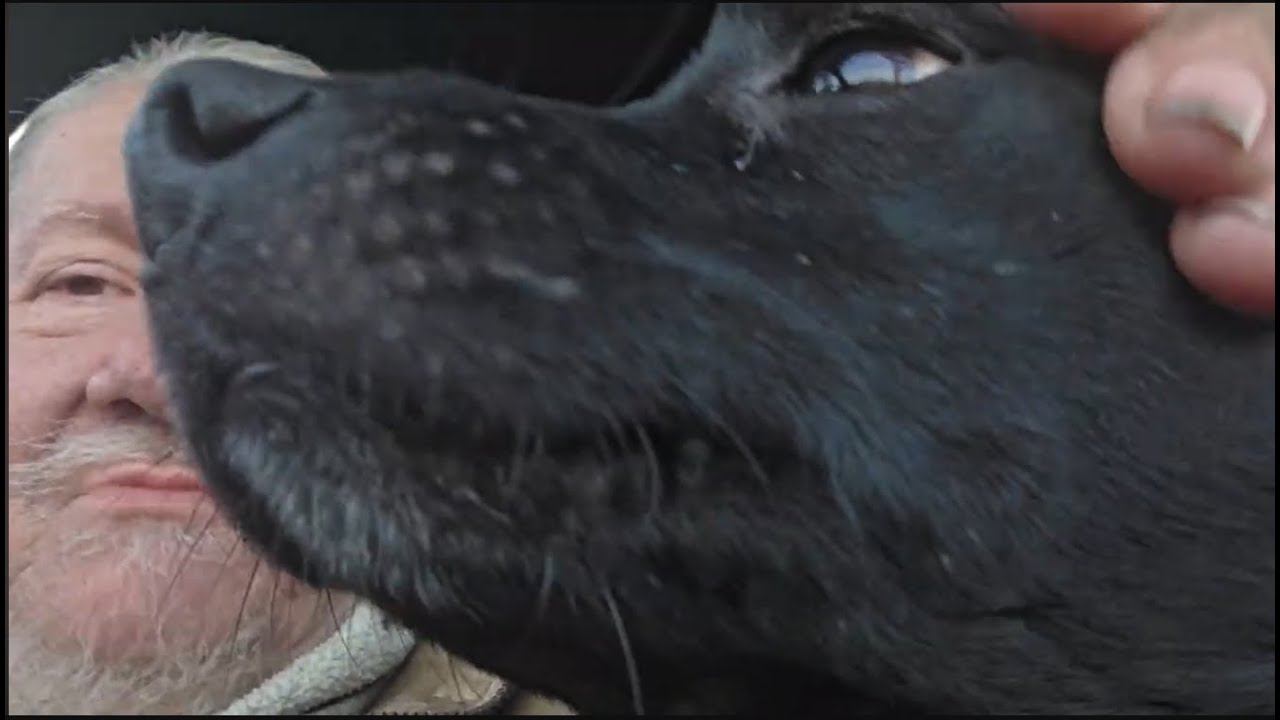 2025-11-27 Stinky Von Helton's Thursday Morning Omnibus of Nonsense