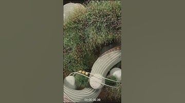 Digital Nature (R&D Test) - looping animation created in Cinema4D with the Forester plugin 🌱 #c4d