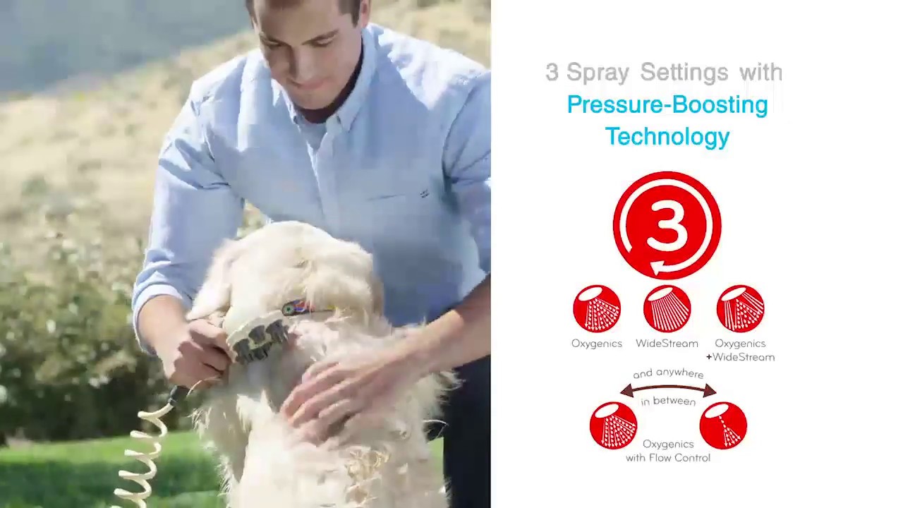 PawSpa PetJet Pet Washer YouTube