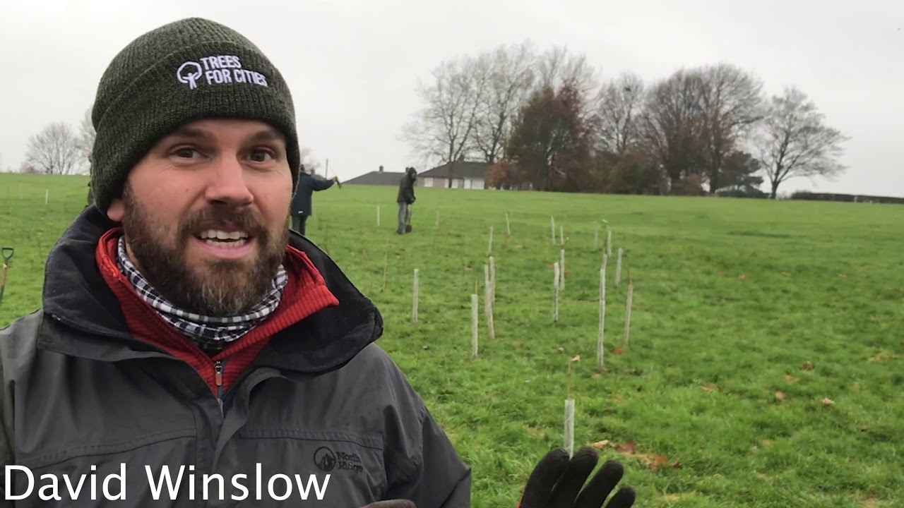 Trees for Derby Tree planting event YouTube