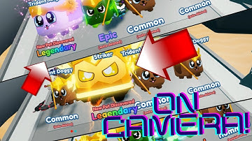 Hatching for 8 HOURS with *MAX BOOSTS* in mining simulator 2