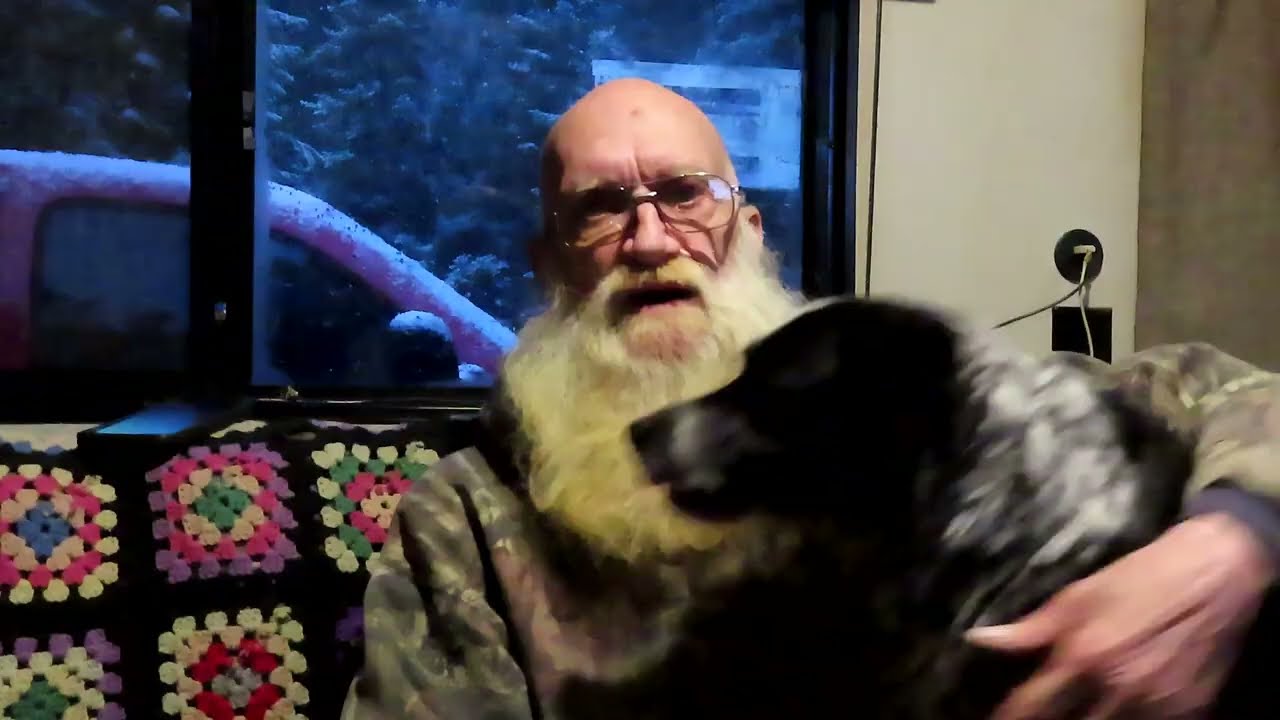 О Сэме и Зообомбе 16 февраля 2026 г.