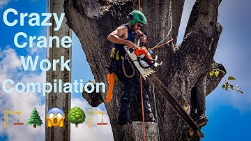 CRAZY Crane Work Compilation! BEST PICKS from 2018-2021!