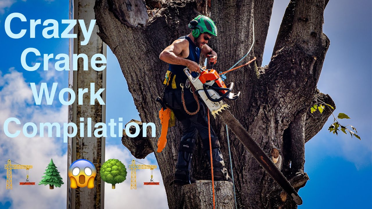CRAZY Crane Work Compilation! BEST PICKS from 20182021! YouTube