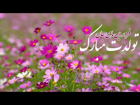 دکلمه تولد فروردین ماهی ها مبارک با اجرای سامان کجوری