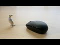 Middle of video